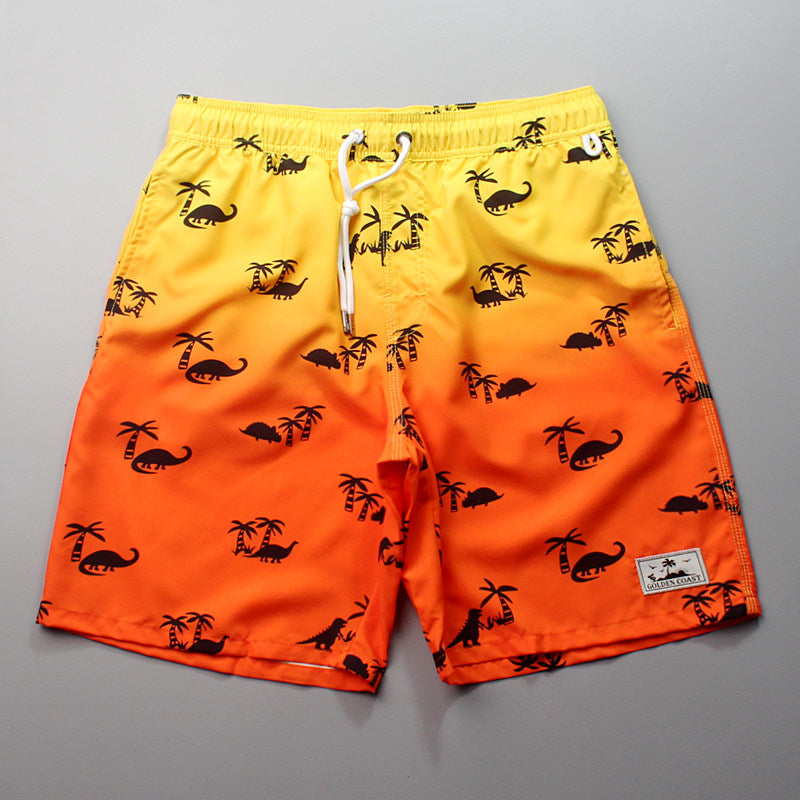 Beach pants men's quick-drying loose print pants