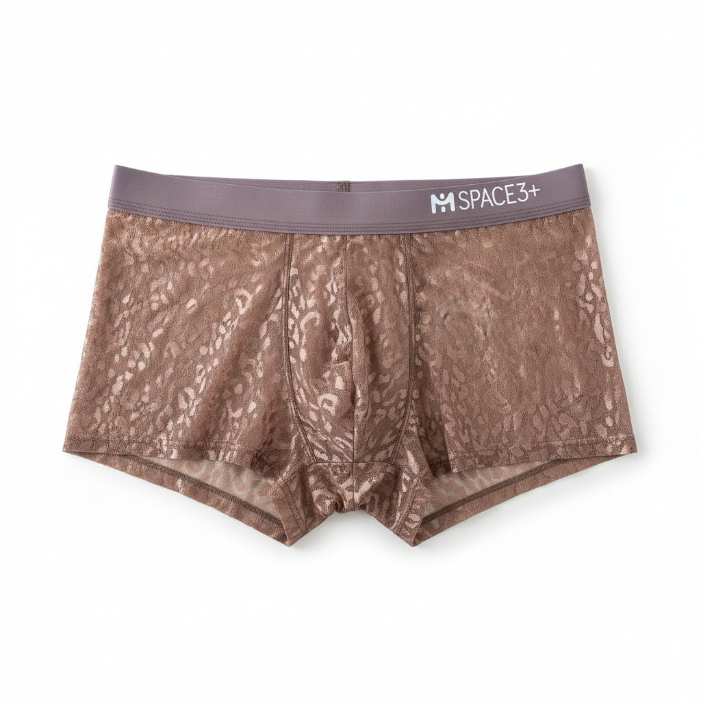 Men's Panties Lace Pure Mesh Breathable boxers