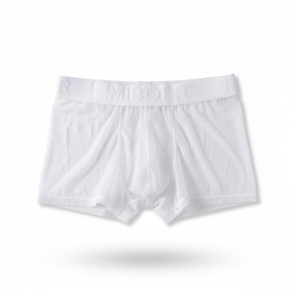 See-through men boxers