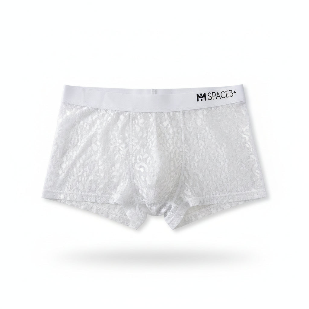 Men's Panties Lace Pure Mesh Breathable boxers