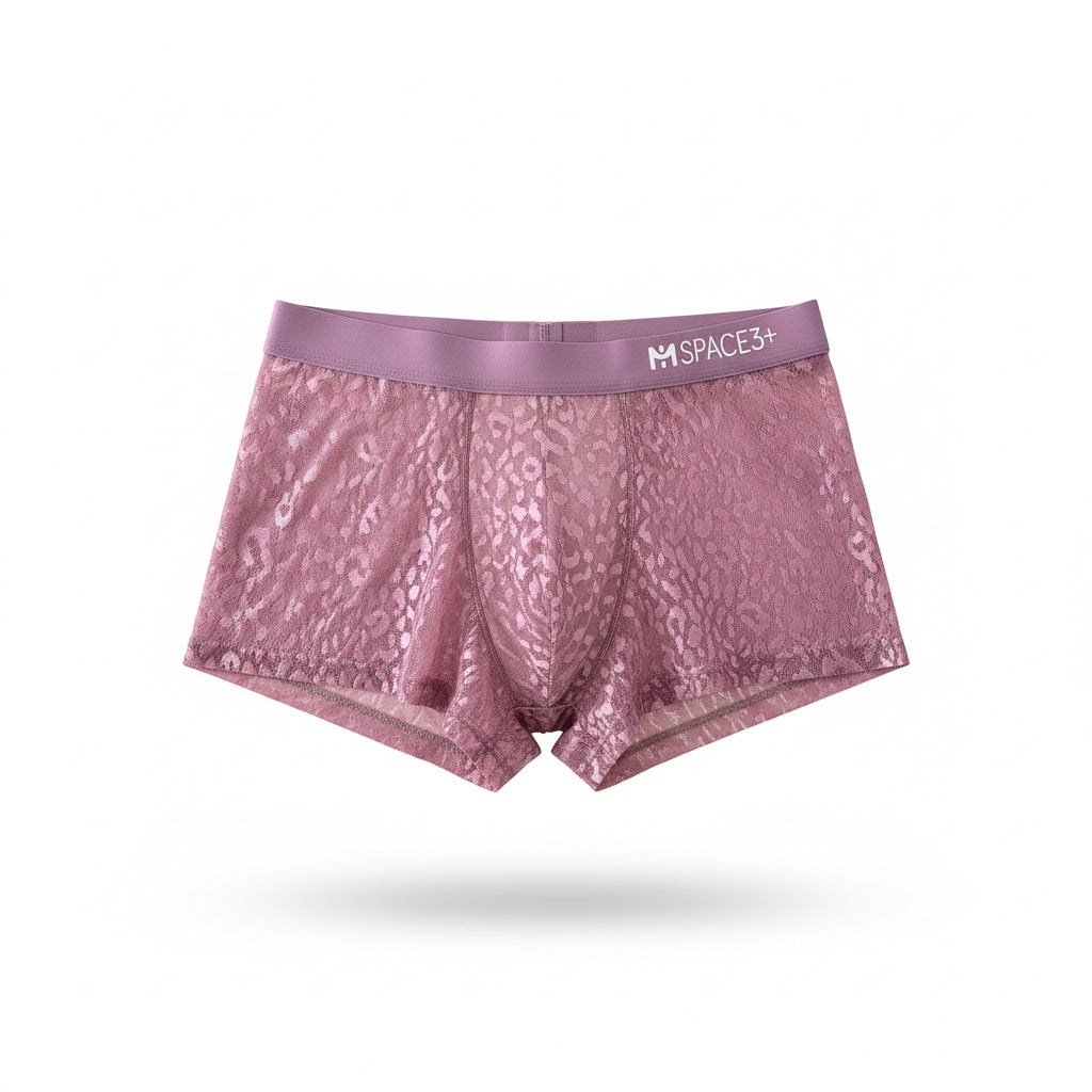 Men's Panties Lace Pure Mesh Breathable boxers